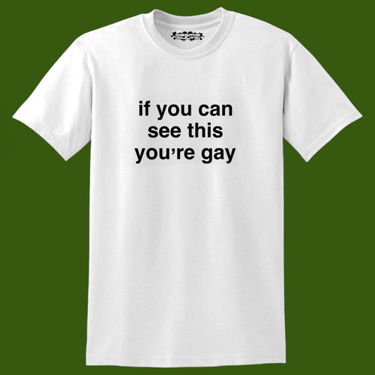 If You Can See This You’re Gay Y2K Funny Graphic T Shirt Unisex Tee Shirt